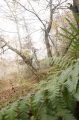 2008-11-09_Haute_Dourbie_258.jpg