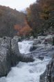 2008-11-09_Haute_Dourbie_269.jpg