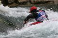 1img_0600.jpg