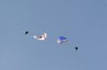 2009-06-27T19:56:32_0009.JPG