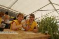 2009-06-28_12.28_159.JPG