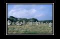 carnac03c.jpg