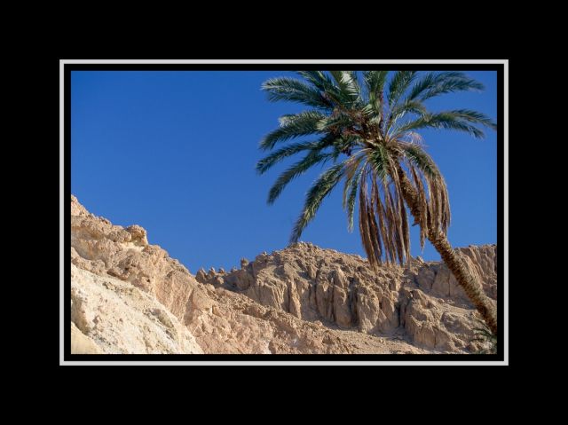 Tunisie_Atlas_30x40.jpg