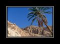Tunisie_Atlas_30x40.jpg