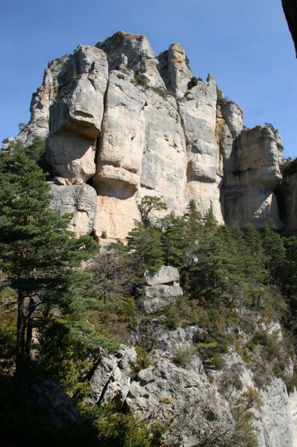img_6668.jpg