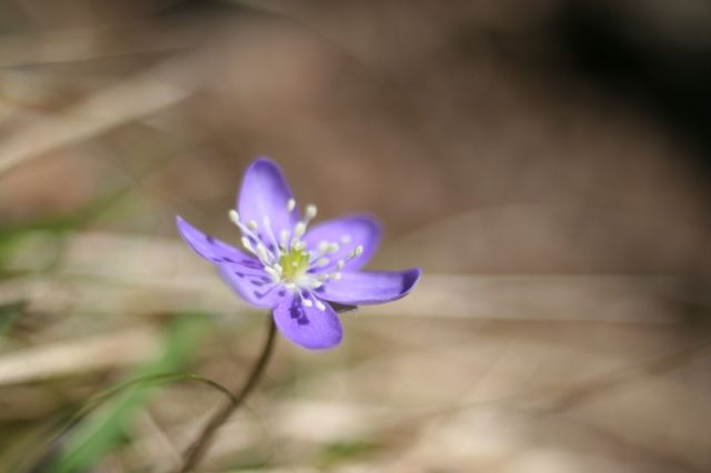 img_6704.jpg