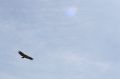 img_6641.jpg