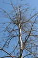 img_9016.jpg