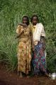 RCA_RVB05.jpg