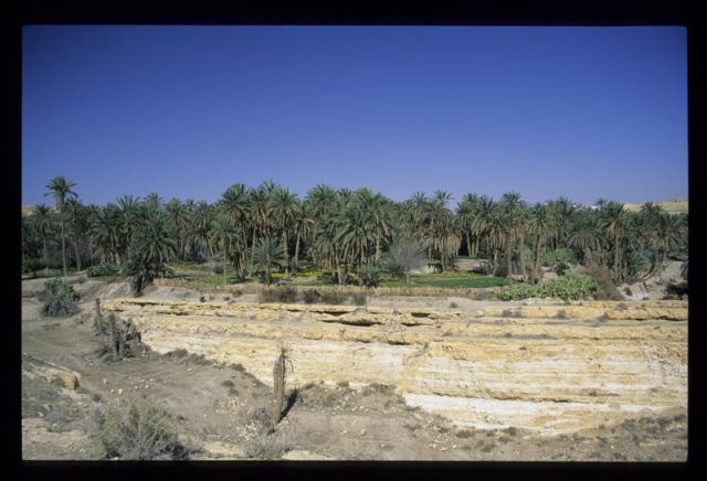 Tunisie_Mars_1998_004_Atlas.jpg
