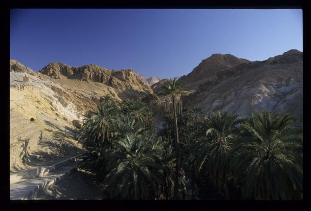 Tunisie_Mars_1998_013_Atlas.jpg