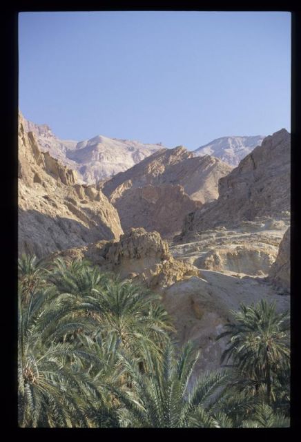 Tunisie_Mars_1998_015_Atlas.jpg