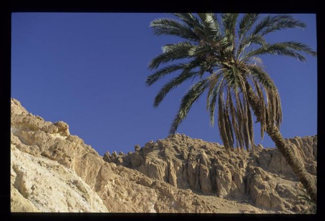Tunisie_Mars_1998_024_Atlas.jpg