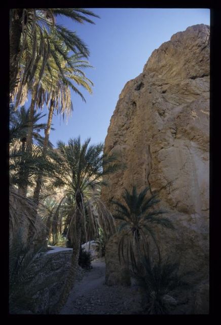Tunisie_Mars_1998_025_Atlas.jpg