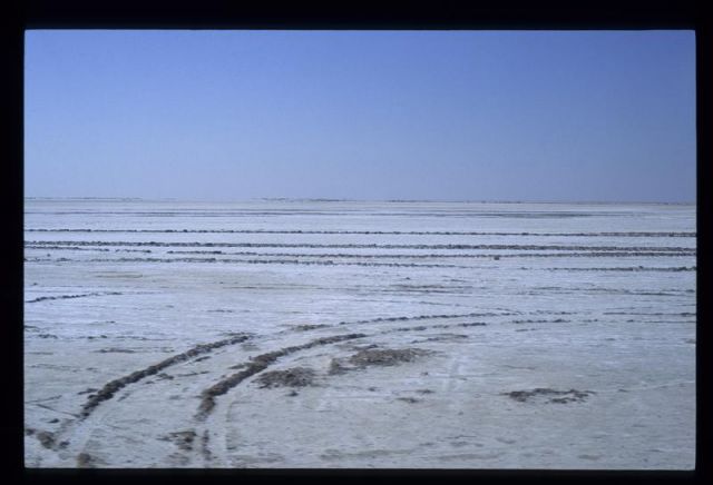 Tunisie_Mars_1998_035_Chott.jpg
