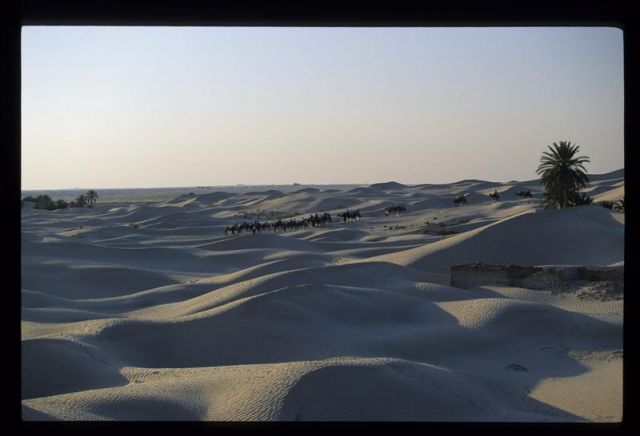 Tunisie_Mars_1998_040_Douz.jpg