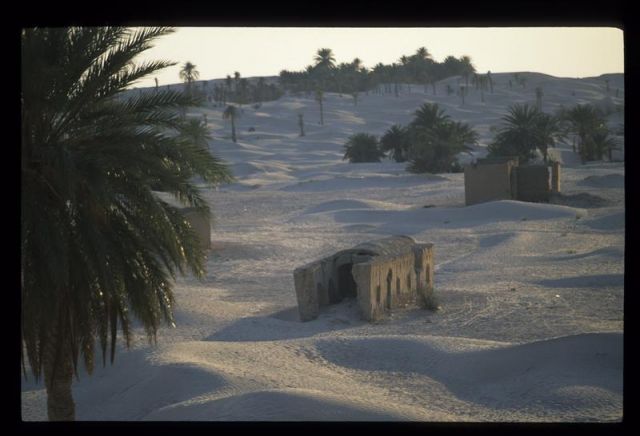 Tunisie_Mars_1998_042_Douz.jpg