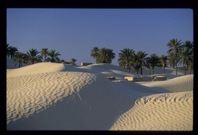 Tunisie_Mars_1998_046_Douz.jpg