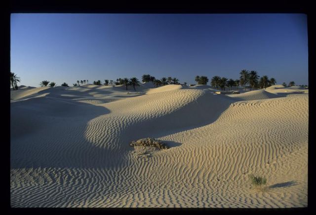 Tunisie_Mars_1998_050_Douz.jpg