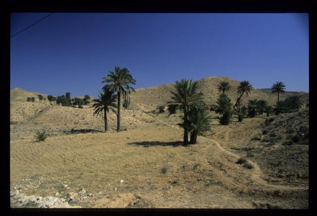 Tunisie_Mars_1998_100_Matmata.jpg
