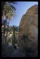 Tunisie_Mars_1998_025_Atlas.jpg