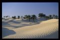 Tunisie_Mars_1998_047_Douz.jpg